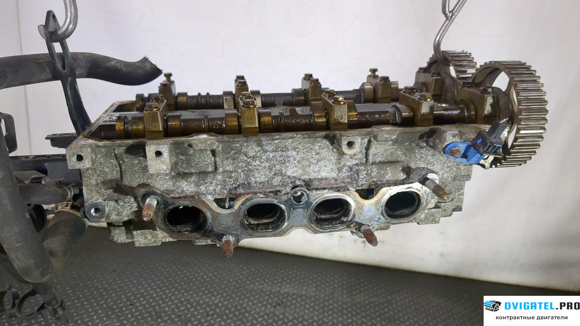 Головка блока цилиндров (ГБЦ) Ford C-Max 2002 - 2010 SHDA, SHDB, SHDC 1.6 л., Бензин, Инжектор, артикул 8896755