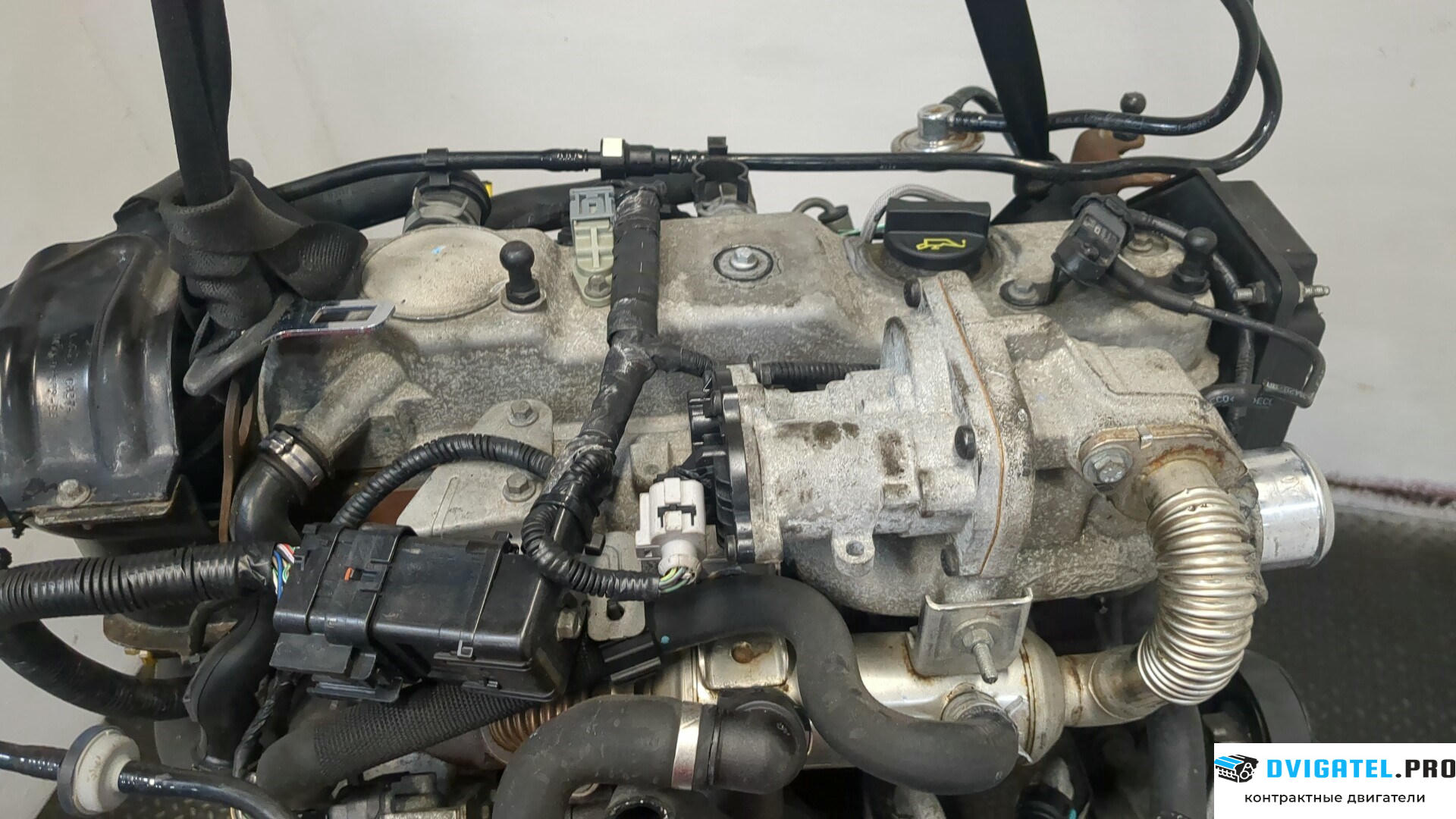 Двигатель Ford Focus 2 2008 - 2011 KKDA, KKDB 1.8 л., Дизель, TDCI, артикул 9283404