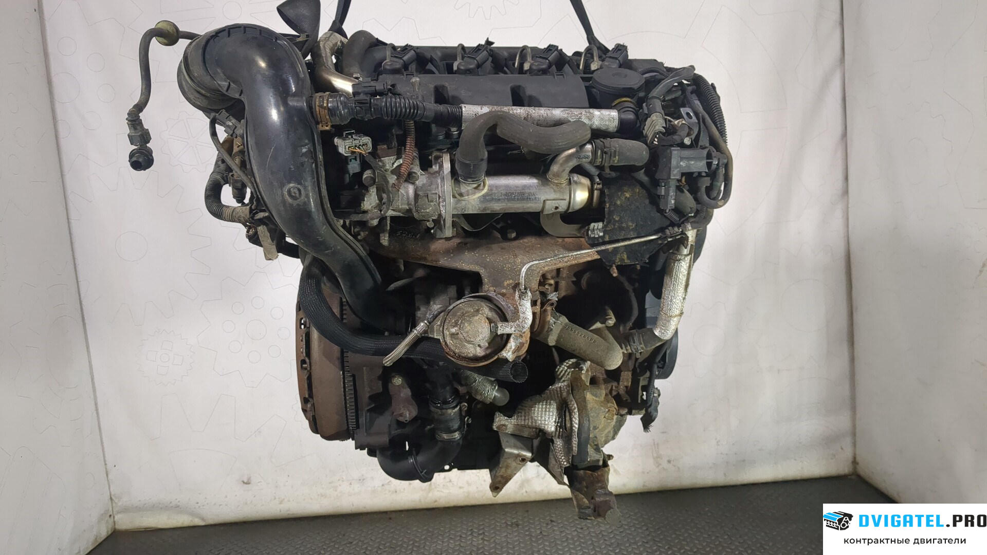 Двигатель Fiat Scudo 2007 - 2016 RHK 2 л., Дизель, JTD, артикул 8727427