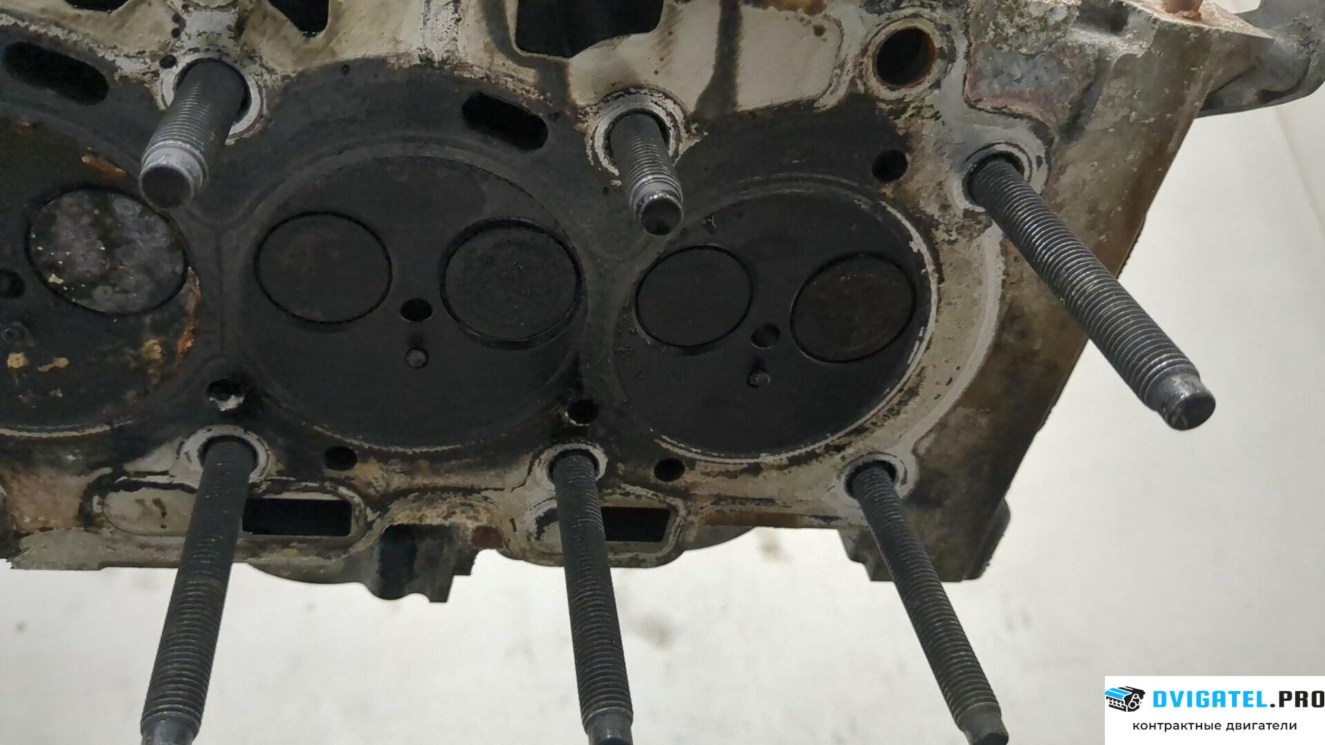 Головка блока цилиндров (ГБЦ) Ford Fiesta 2008 - 2013 TZJA,TZJB 1.6 л., Дизель, TDCI, артикул 8531665